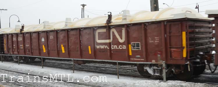 Car/wagon CN135234 right side / coté droit